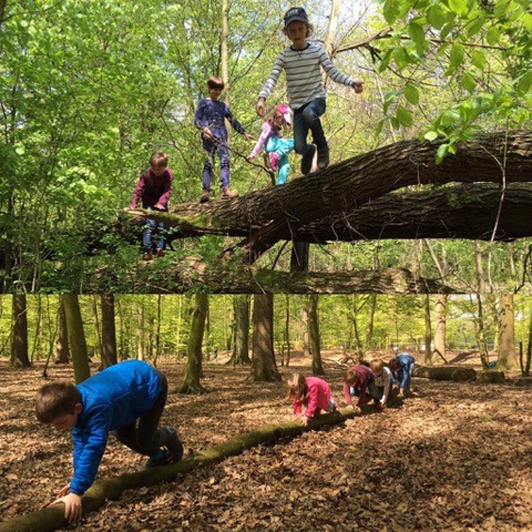  Parkour-Schnupper-Workshops für Kinder im ella Kulturhaus Motiv 